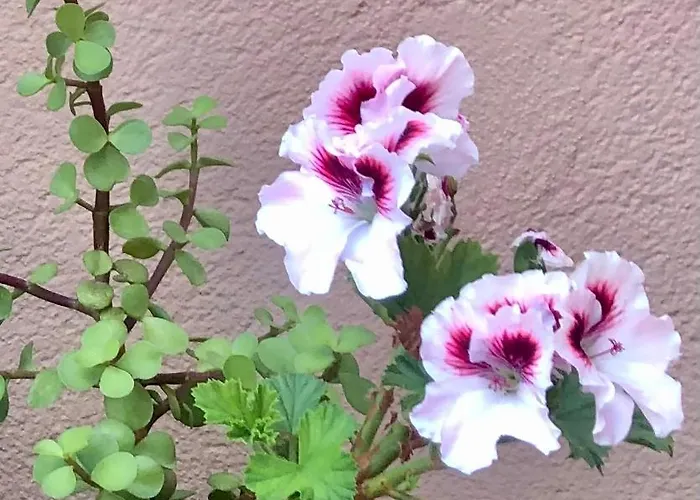 Appartement Atico Con Magnifica Terraza En